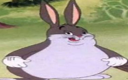 1vs1 fight to the death